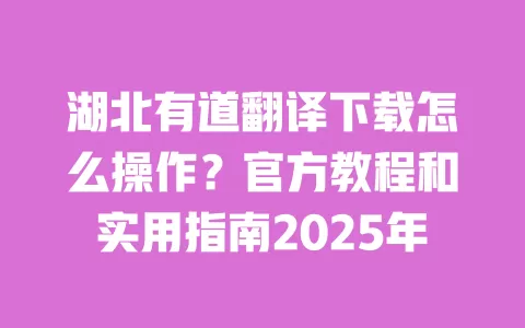 湖北有道翻译下载怎么操作？官方教程和实用指南2025年 一