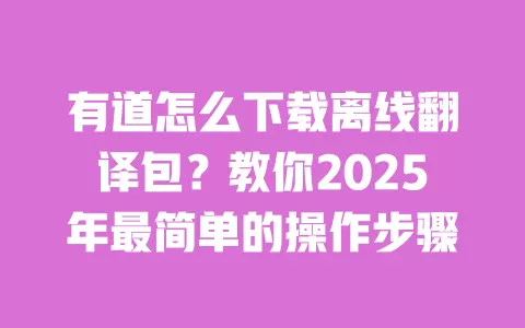 有道怎么下载离线翻译包?教你2025年最简单的操作步骤 一