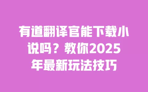 有道翻译官能下载小说吗？教你2025年最新玩法技巧 一