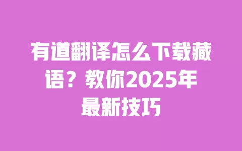 有道翻译怎么下载藏语?教你2025年最新技巧 一