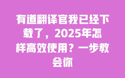 有道翻译官我已经下载了,2025年怎样高效使用?一步教会你 一