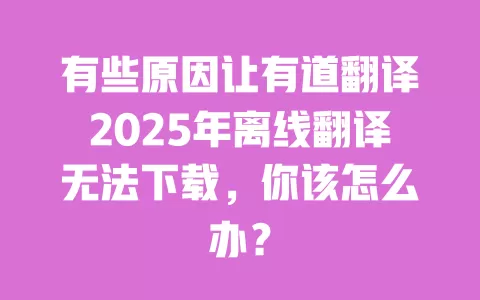 有些原因让有道翻译2025年离线翻译无法下载，你该怎么办？ 一