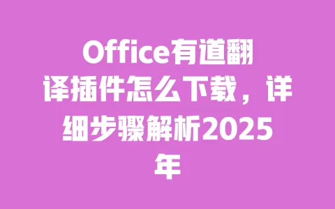 Office有道翻译插件怎么下载,详细步骤解析2025年 一