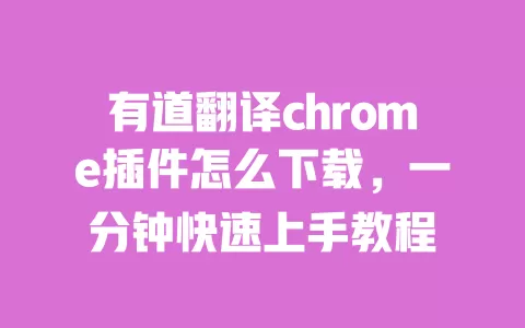 有道翻译chrome插件怎么下载，一分钟快速上手教程 一