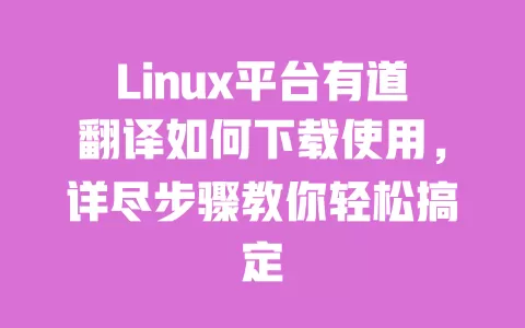 Linux平台有道翻译如何下载使用，详尽步骤教你轻松搞定 一